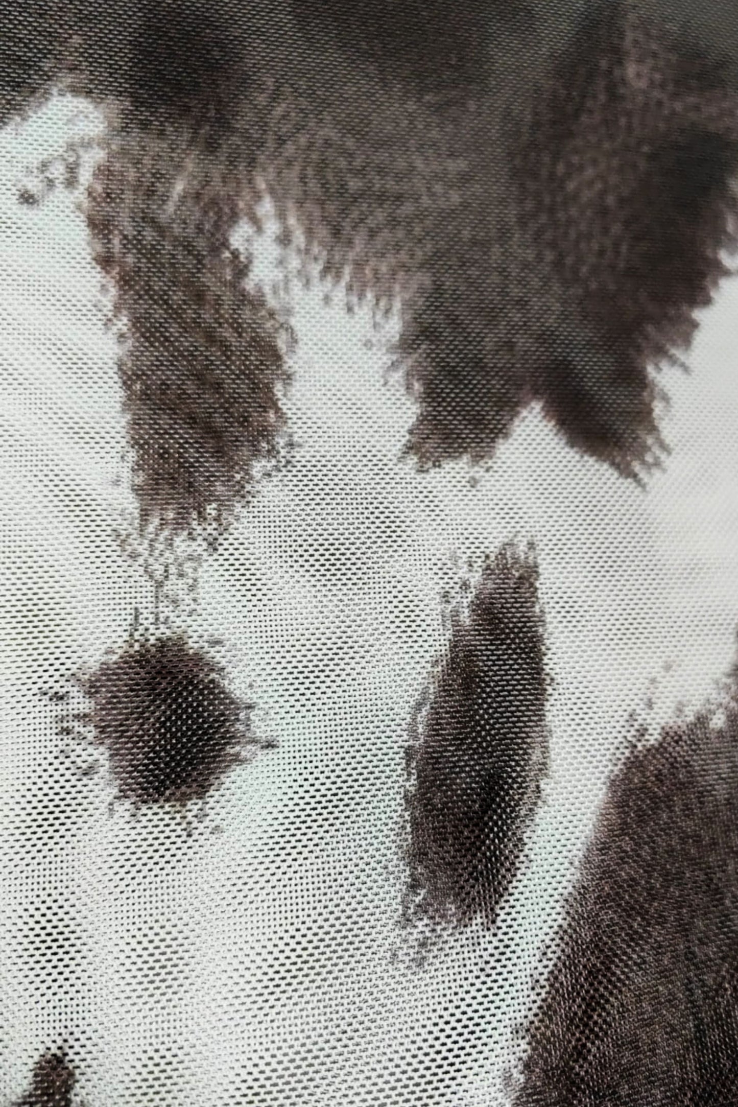 BH BODY MANGA LARGA MESH 7178