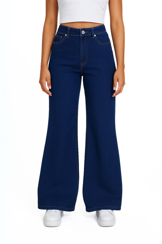 BH JEANS FLARE MOORE