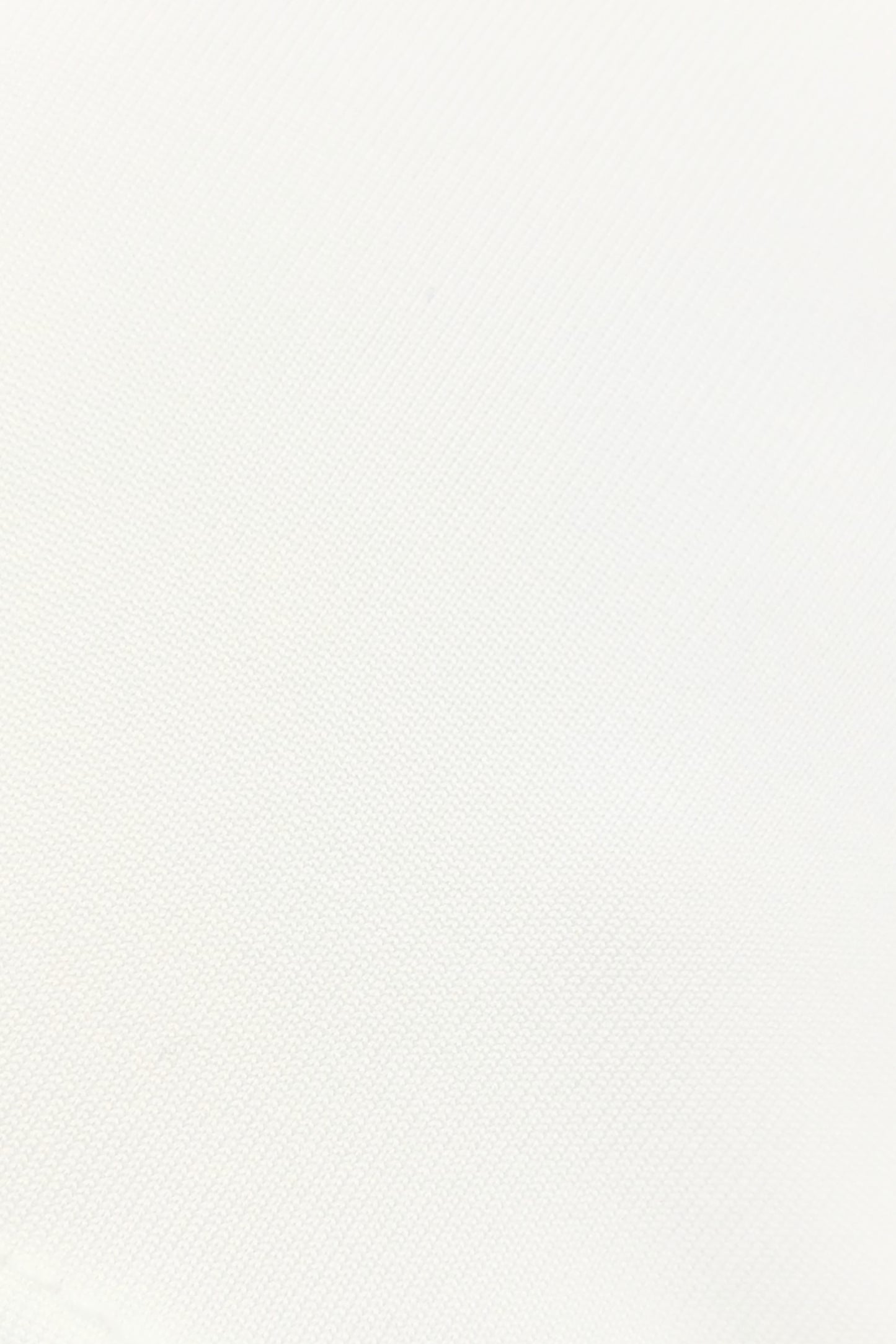 BH TOP CROP MANGA LARGA BASHIRA