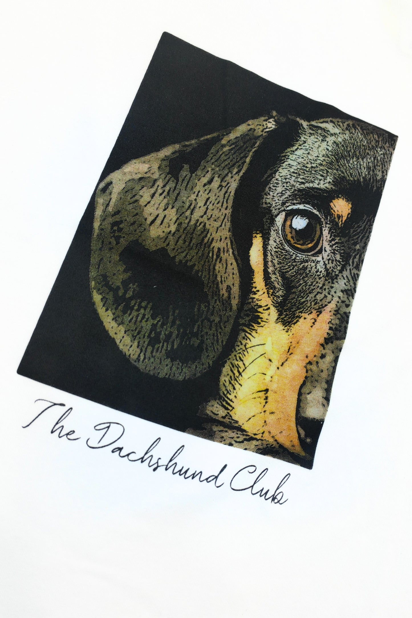 CAMISETA BASICA 7348