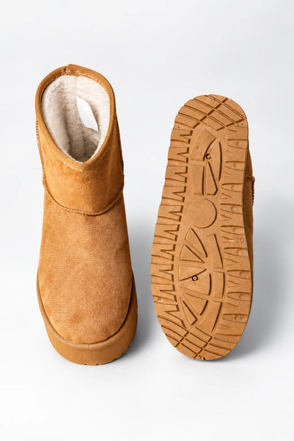 25 BOTINES PLATAFORMA 7893
