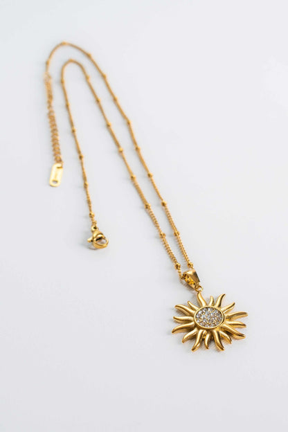 COLLAR 7725