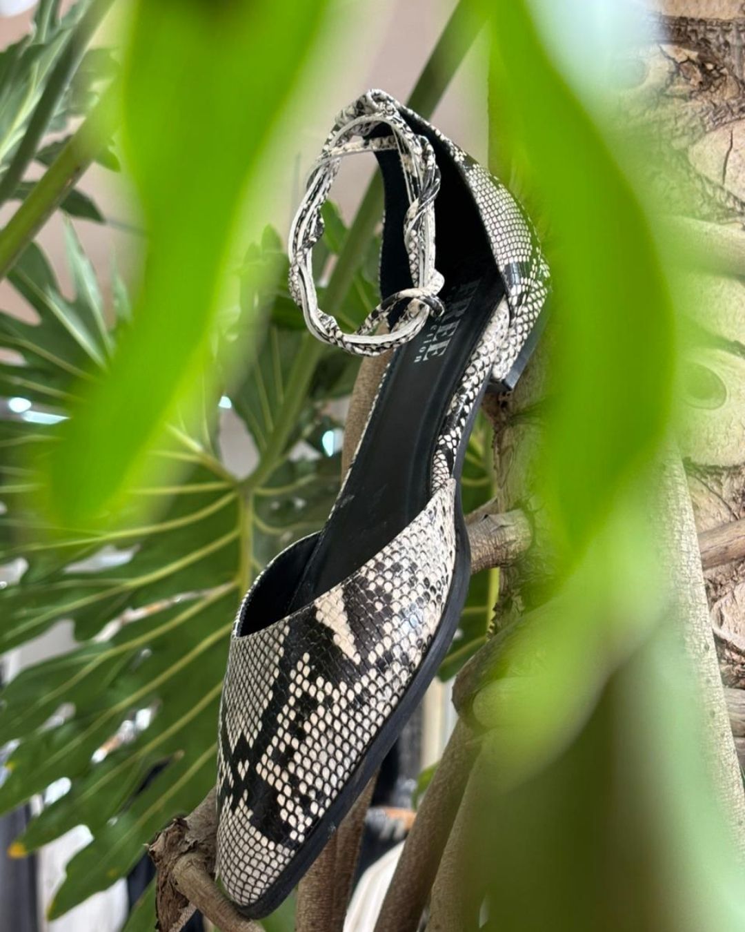 25 ZAPATOS PLANOS 7874