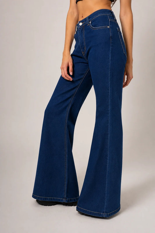BH JEANS FLARE MOORE