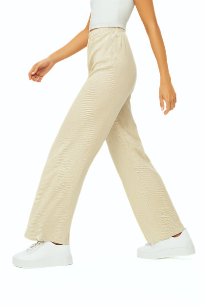 PANTALON PLISADO CAMPANA BIASI